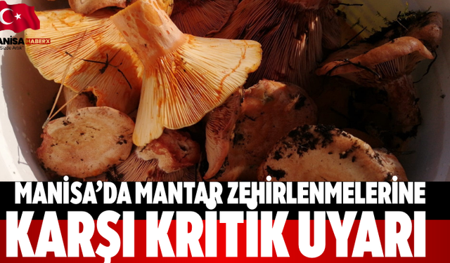 Manisa’da mantar zehirlenmelerine karşı kritik uyarı