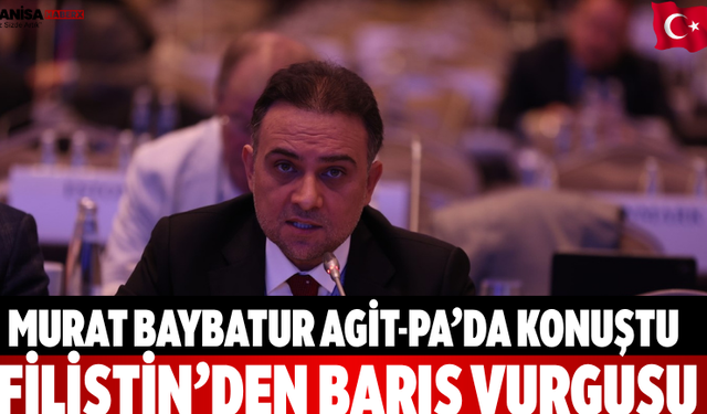 Murat Baybatur AGİT-PA’da Konuştu Filistin’den Barış Vurgusu