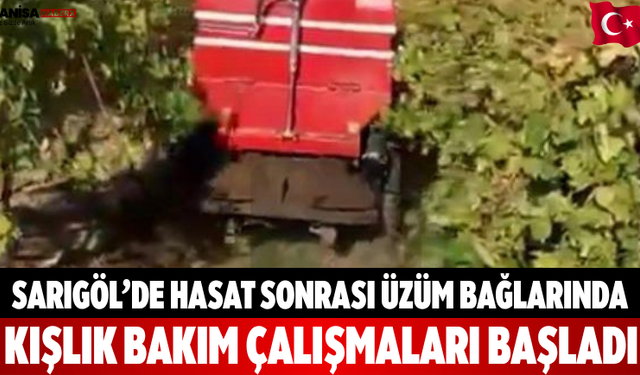 Sarıgöl’de Hasat Sonrası Üzüm Bağlarında Kışlık Bakım