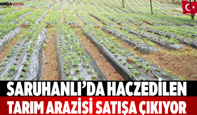 Saruhanlı’da Haczedilen Tarım Arazisi Satışa Çıkıyor