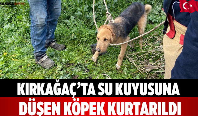 Kırkağaç’ta Su Kuyusuna Düşen Köpek Kurtarıldı