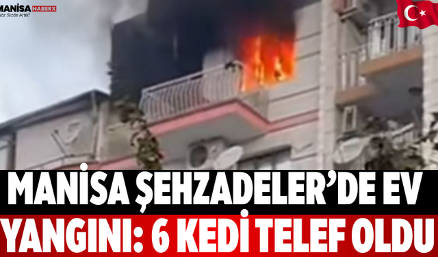 Manisa Şehzadeler’de Ev Yangını: 6 Kedi Telef Oldu