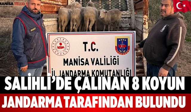 Salihli’de Çalınan 8 Koyun Jandarma Tarafından Bulundu