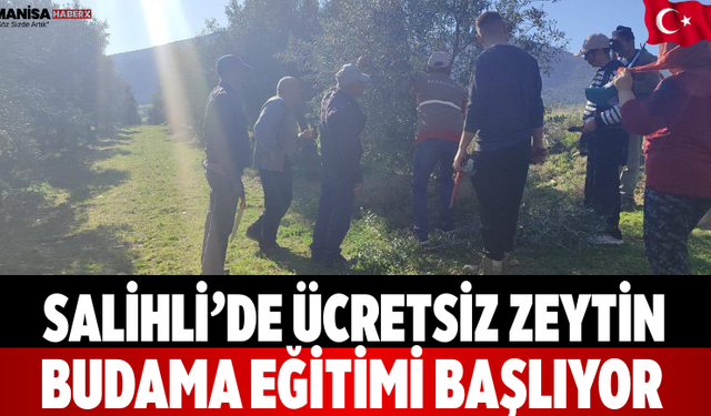 Salihli’de ücretsiz zeytin budama eğitimi başlıyor
