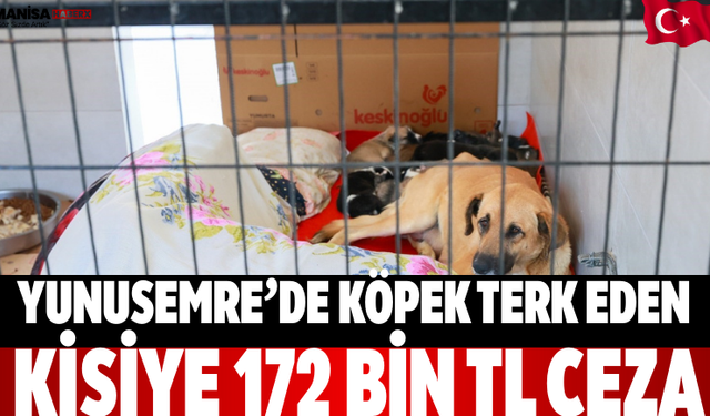 Yunusemre’de köpek terk eden kişiye 172 bin TL ceza
