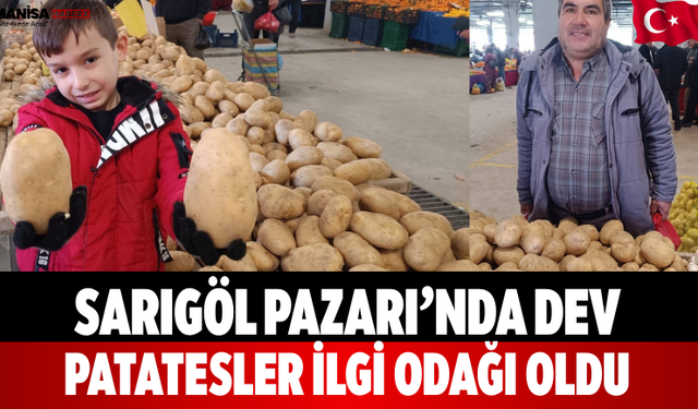 Sarıgöl Pazarı’nda Dev Patatesler İlgi Odağı Oldu