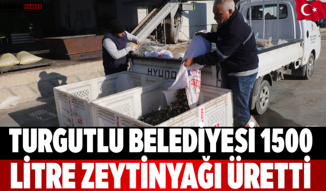 Turgutlu Belediyesi 1500 Litre Zeytinyağı Üretti