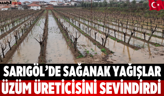 Sarıgöl’de sağanak yağışlar üzüm üreticisini sevindirdi