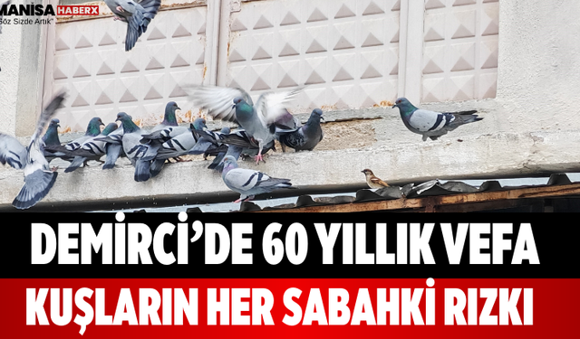 Demirci’de 60 Yıllık Vefa Kuşların Her Sabahki Rızkı