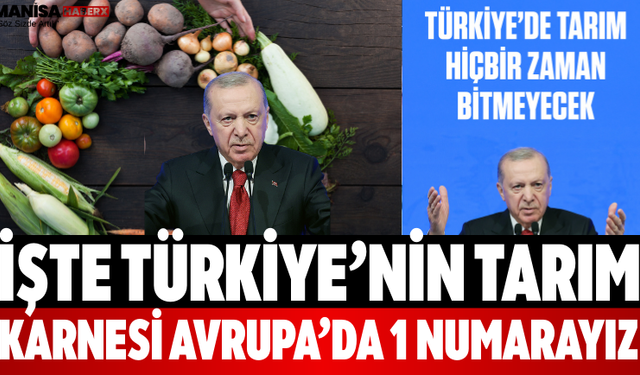 İşte Türkiye’nin Tarım Karnesi Avrupa’da 1 Numarayız