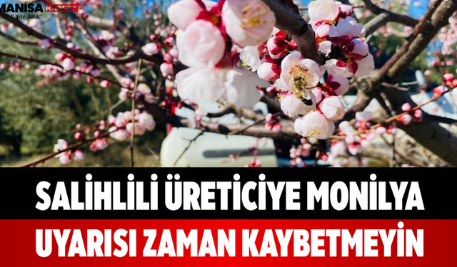 Salihlili Üreticiye Monilya Uyarısı Zaman Kaybetmeyin