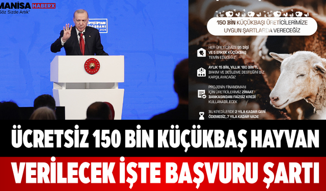 Ücretsiz 150 Bin Küçükbaş Hayvan Verilecek İşte Başvuru Şartı