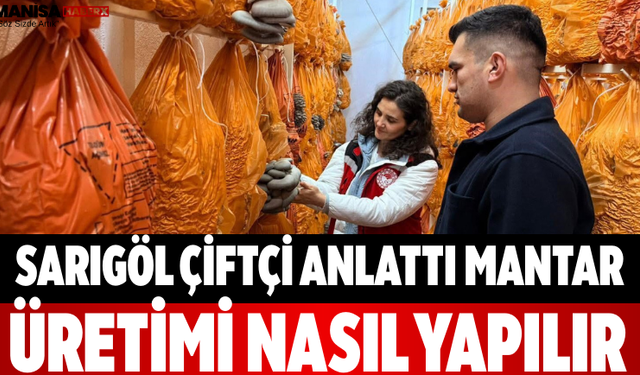 Sarıgöl Çiftçi Anlattı Mantar Üretimi Nasıl Yapılır