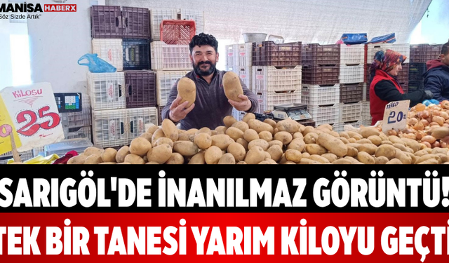 Sarıgöl'de İnanılmaz Görüntü! Tek Bir Tanesi Yarım Kiloyu Geçti
