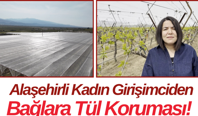 Alaşehirli Kadın Girişimciden Bağlara Tül Koruması!