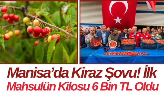 Manisa’da Kiraz Şovu! İlk Mahsulün Kilosu 6 Bin TL Oldu