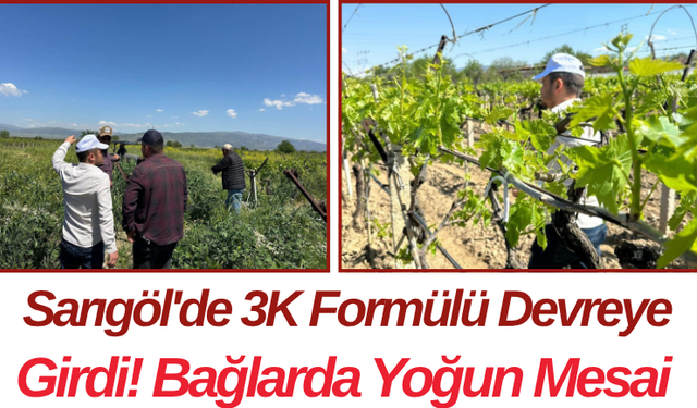 Sarıgöl'de 3K Formülü Devreye Girdi! Bağlarda Yoğun Mesai