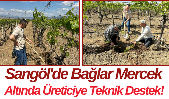 Sarıgöl'de Bağlar Mercek Altında Üreticiye Teknik Destek!