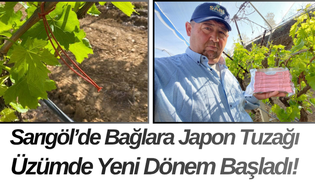 Sarıgöl’de Bağlara Japon Tuzağı Üzümde Yeni Dönem Başladı!