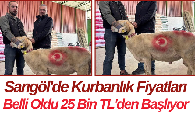 Sarıgöl'de Kurbanlık Fiyatları Belli Oldu 25 Bin TL'den Başlıyor