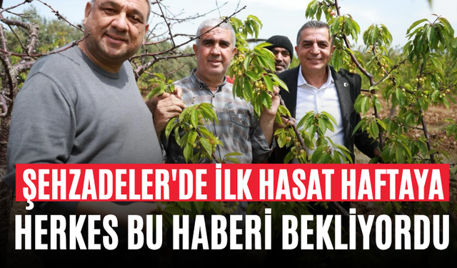 Şehzadeler'de İlk Hasat Haftaya Herkes Bu Haberi Bekliyordu