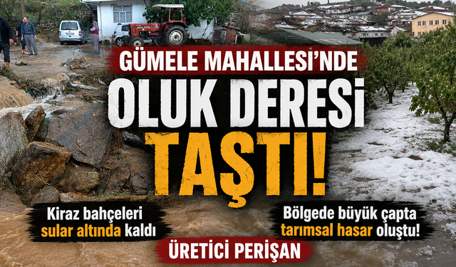 Demirci’de Dere Taştı, Bağ ve Bahçeler Sular Altında Kaldı!