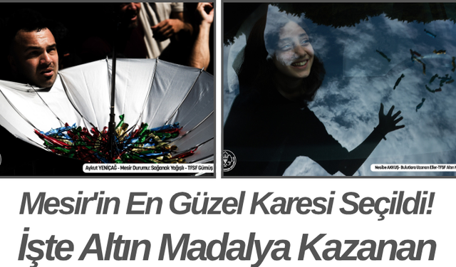 Mesir'in En Güzel Karesi Seçildi! İşte Altın Madalya Kazanan
