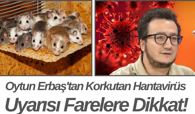 Oytun Erbaş'tan Korkutan Hantavirüs Uyarısı Farelere Dikkat!
