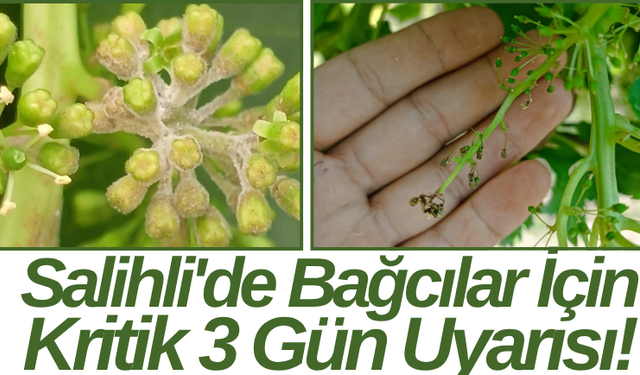 Salihli'de Bağcılar İçin Kritik 3 Gün Uyarısı!