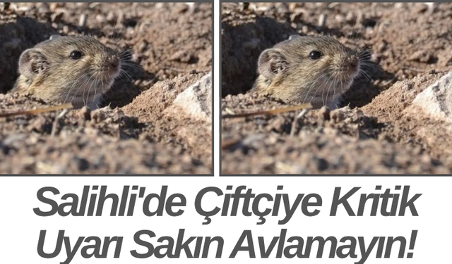 Salihli'de Çiftçiye Kritik Uyarı Sakın Avlamayın!