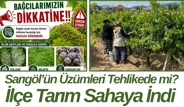 Sarıgöl’ün Üzümleri Tehlikede mi? İlçe Tarım Sahaya İndi