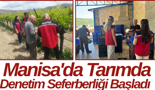 Manisa'da Tarımda Denetim Seferberliği Başladı