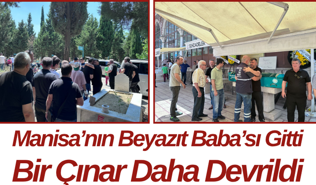 Manisa’nın Beyazıt Baba’sı Gitti Bir Çınar Daha Devrildi
