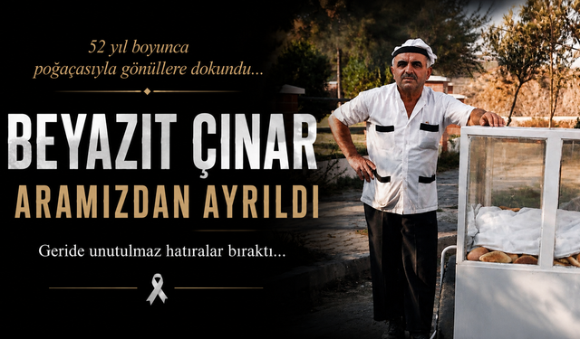 Manisa'nın Efsane Çınarı Artık Yok! Büyük Hüzün