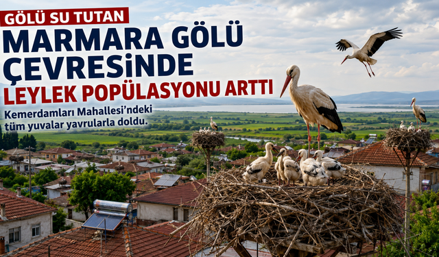Marmara Gölü Canlandı, Leylekler Köye Döndü!