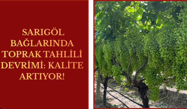 Sarıgöl Bağlarında "Toprak Tahlili" Devrimi: Kalite Artıyor!