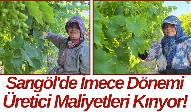 Sarıgöl'de İmece Dönemi Üretici Maliyetleri Kırıyor!