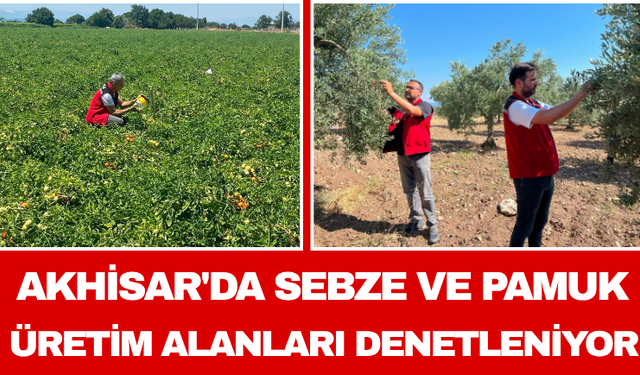 Akhisar'da Sebze ve Pamuk Üretim Alanları Denetleniyor