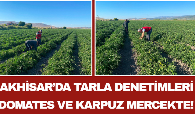 Akhisar’da Tarla Denetimleri: Domates ve Karpuz Mercekte!