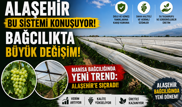 Alaşehir Bu Sistemi Konuşuyor Bağcılıkta Büyük Değişim