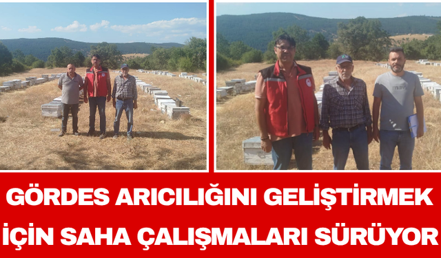Gördes Arıcılığını Geliştirmek İçin Saha Çalışmaları Sürüyor