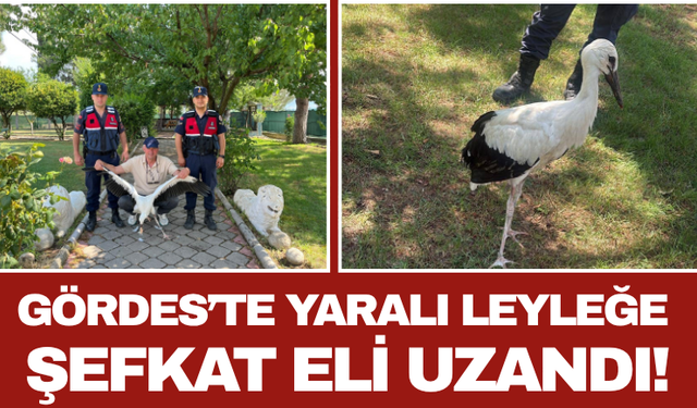 Gördes’te Yaralı Leyleğe Şefkat Eli Uzandı!