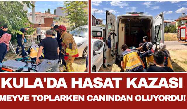 Kula'da Hasat Kazası: Meyve Toplarken Canından Oluyordu!