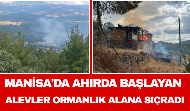 Manisa'da Ahırda Başlayan Alevler Ormanlık Alana Sıçradı