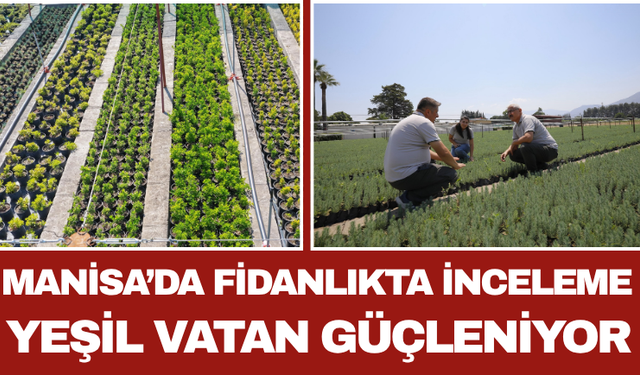 Manisa’da Fidanlıkta İnceleme: Yeşil Vatan Güçleniyor