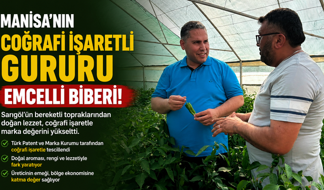 Manisa’nın Coğrafi İşaretli Gururu: Emcelli Biberi!