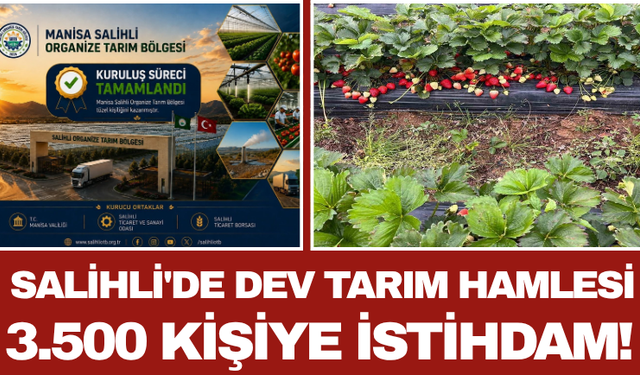 Salihli'de Dev Tarım Hamlesi: 3.500 Kişiye İstihdam!