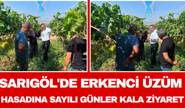 Sarıgöl'de Erkenci Üzüm Hasadına Sayılı Günler Kala Ziyaret