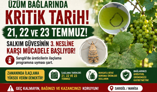 Sarıgöl'de Salkım Güvesi Alarmı: Takvim Netleşti!