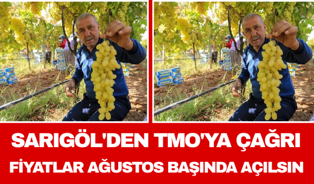Sarıgöl'den TMO'ya Çağrı Fiyatlar Ağustos Başında Açılsın